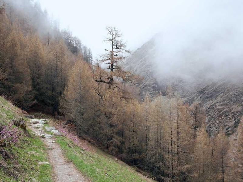 Office furniture installation service